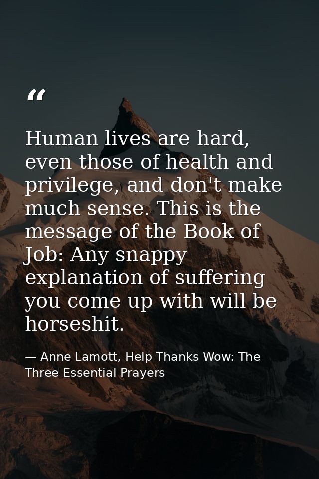 Human lives are hard, even those of health and privilege, and don't make much sense. This is the message of the Book of  — Anne Lamott, Help Thanks Wow: The Three Essential Prayers