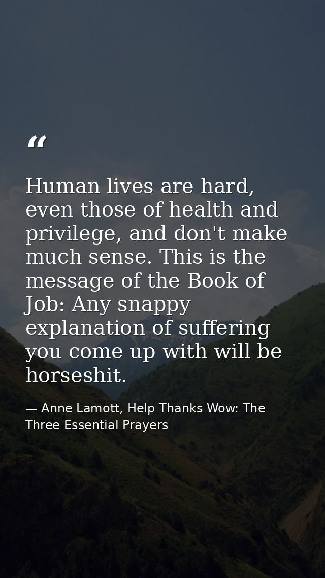 Human lives are hard, even those of health and privilege, and don't make much sense. This is the message of the Book of  — Anne Lamott, Help Thanks Wow: The Three Essential Prayers