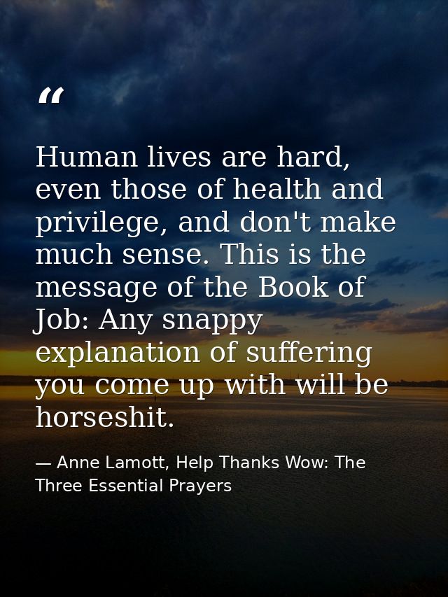 Human lives are hard, even those of health and privilege, and don't make much sense. This is the message of the Book of  — Anne Lamott, Help Thanks Wow: The Three Essential Prayers