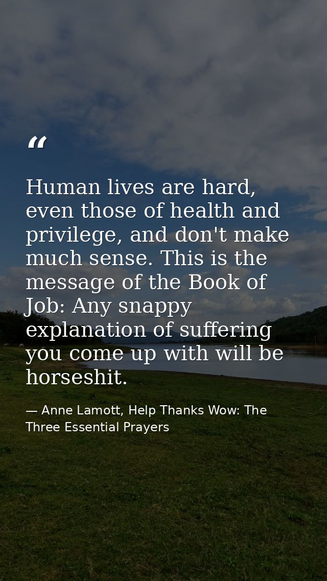 Human lives are hard, even those of health and privilege, and don't make much sense. This is the message of the Book of  — Anne Lamott, Help Thanks Wow: The Three Essential Prayers