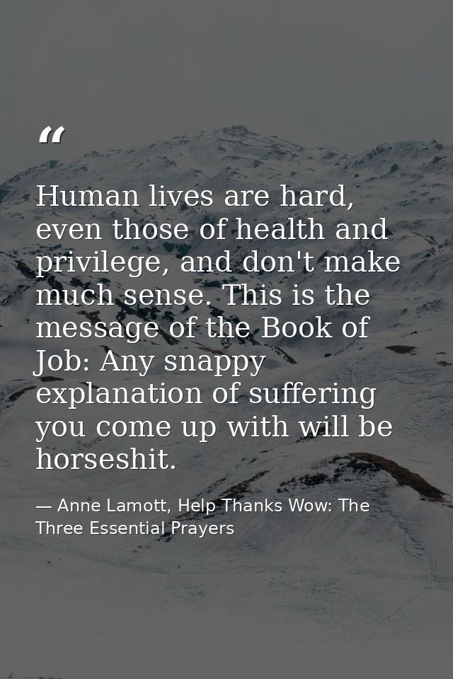 Human lives are hard, even those of health and privilege, and don't make much sense. This is the message of the Book of  — Anne Lamott, Help Thanks Wow: The Three Essential Prayers