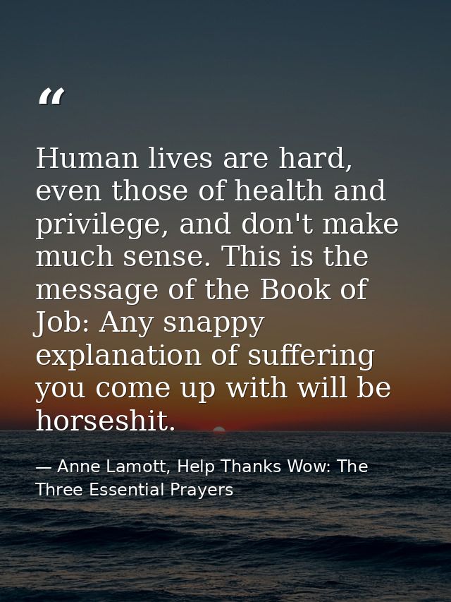 Human lives are hard, even those of health and privilege, and don't make much sense. This is the message of the Book of  — Anne Lamott, Help Thanks Wow: The Three Essential Prayers
