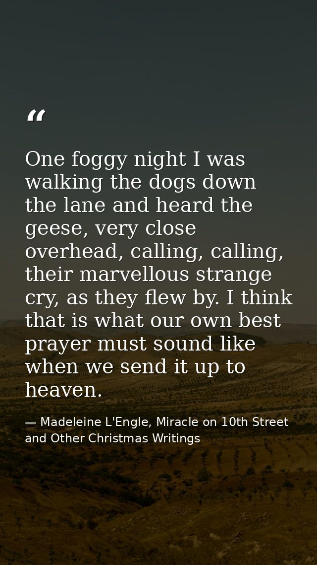 One foggy night I was walking the dogs down the lane and heard the geese, very close overhead, calling, calling, their m — Madeleine L'Engle, Miracle on 10th Street and Other Christmas Writings