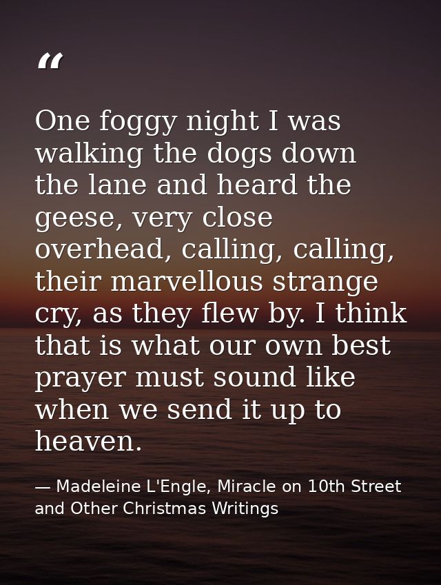 One foggy night I was walking the dogs down the lane and heard the geese, very close overhead, calling, calling, their m — Madeleine L'Engle, Miracle on 10th Street and Other Christmas Writings