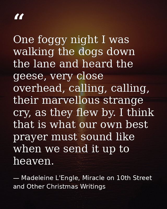 One foggy night I was walking the dogs down the lane and heard the geese, very close overhead, calling, calling, their m — Madeleine L'Engle, Miracle on 10th Street and Other Christmas Writings