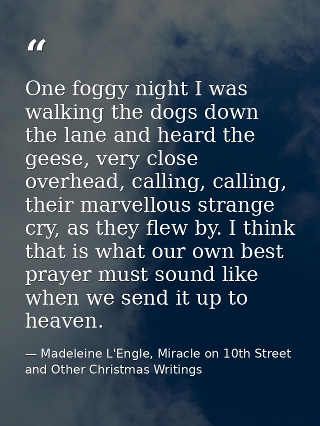 One foggy night I was walking the dogs down the lane and heard the geese, very close overhead, calling, calling, their m — Madeleine L'Engle, Miracle on 10th Street and Other Christmas Writings