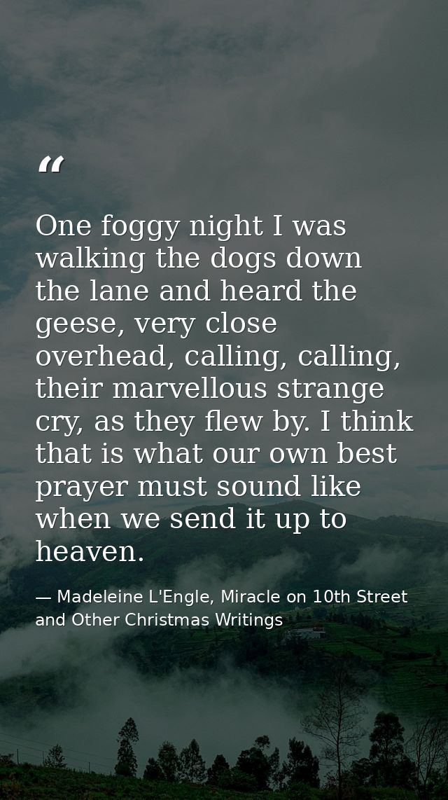 One foggy night I was walking the dogs down the lane and heard the geese, very close overhead, calling, calling, their m — Madeleine L'Engle, Miracle on 10th Street and Other Christmas Writings
