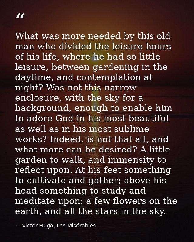 What was more needed by this old man who divided the leisure hours of his life, where he had so little leisure, between  — Victor Hugo, Les Misérables