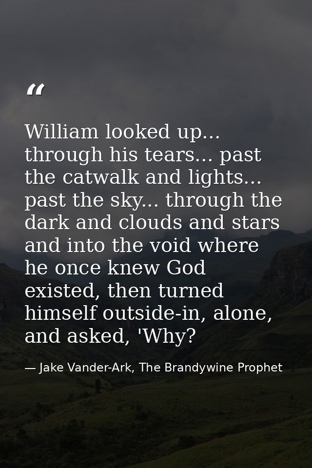 William looked up... through his tears... past the catwalk and lights... past the sky... through the dark and clouds and — Jake Vander-Ark, The Brandywine Prophet