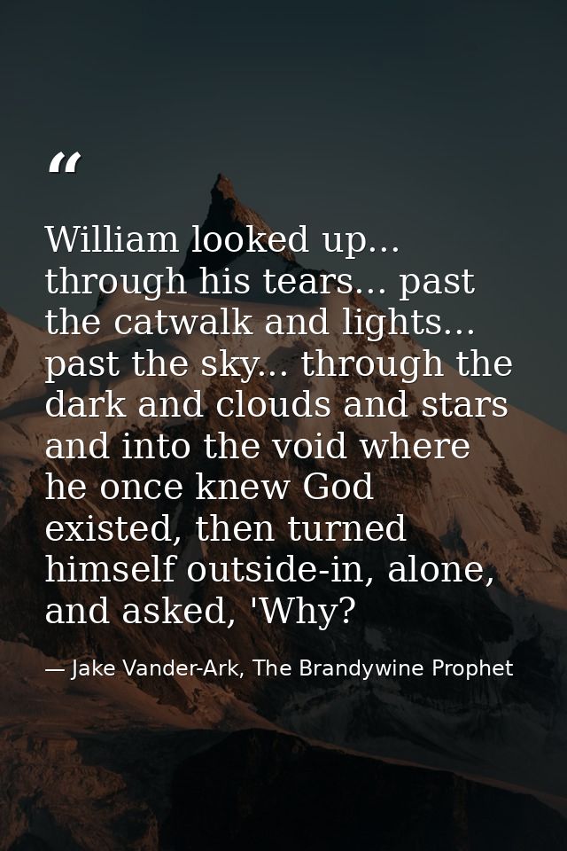 William looked up... through his tears... past the catwalk and lights... past the sky... through the dark and clouds and — Jake Vander-Ark, The Brandywine Prophet