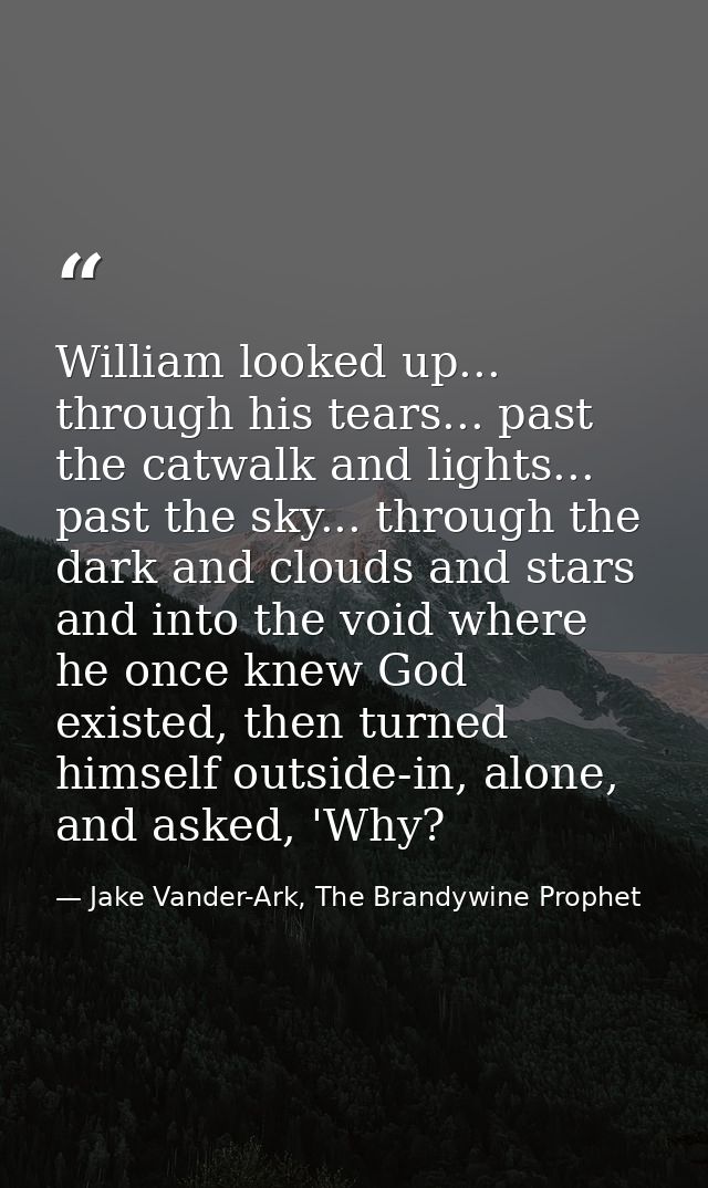 William looked up... through his tears... past the catwalk and lights... past the sky... through the dark and clouds and — Jake Vander-Ark, The Brandywine Prophet