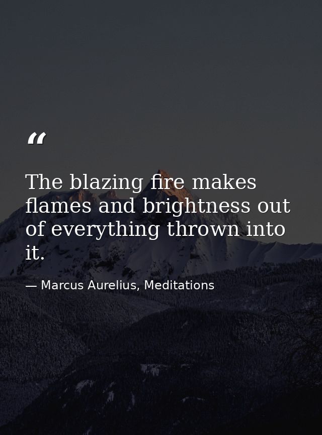 The blazing fire makes flames and brightness out of everything thrown into it. — Marcus Aurelius, Meditations