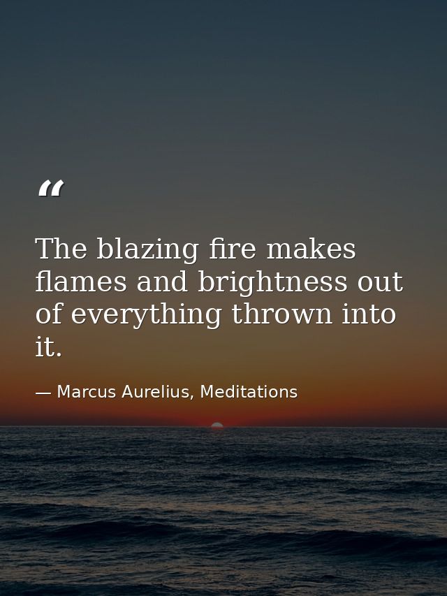 The blazing fire makes flames and brightness out of everything thrown into it. — Marcus Aurelius, Meditations