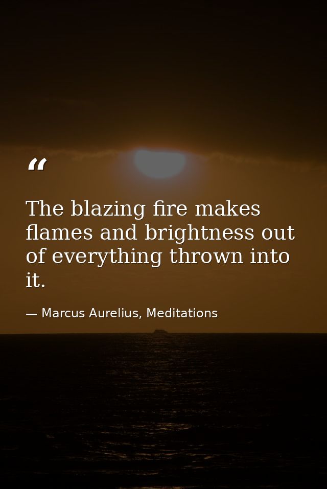 The blazing fire makes flames and brightness out of everything thrown into it. — Marcus Aurelius, Meditations