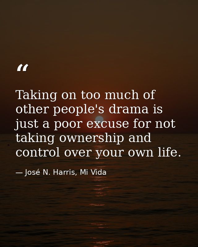 Taking on too much of other people's drama is just a poor excuse for not taking ownership and control over your own life — José N. Harris, Mi Vida