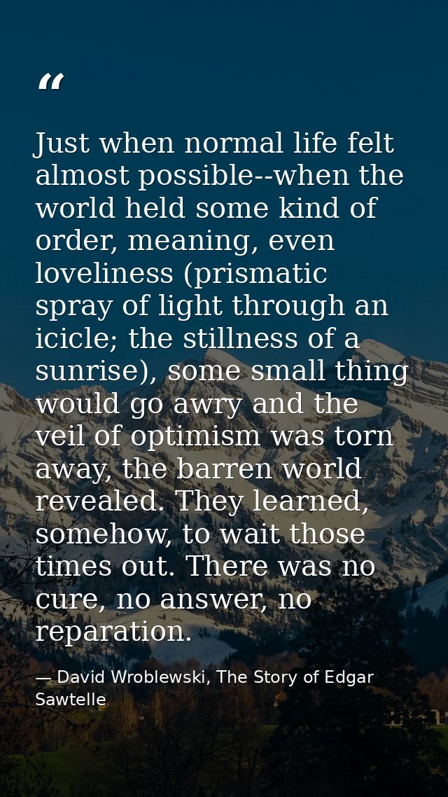 Just when normal life felt almost possible--when the world held some kind of order, meaning, even loveliness (prismatic  — David Wroblewski, The Story of Edgar Sawtelle
