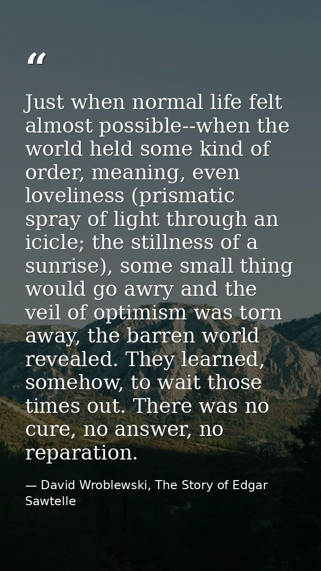 Just when normal life felt almost possible--when the world held some kind of order, meaning, even loveliness (prismatic  — David Wroblewski, The Story of Edgar Sawtelle