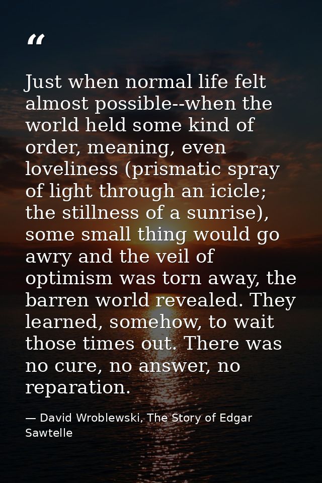 Just when normal life felt almost possible--when the world held some kind of order, meaning, even loveliness (prismatic  — David Wroblewski, The Story of Edgar Sawtelle