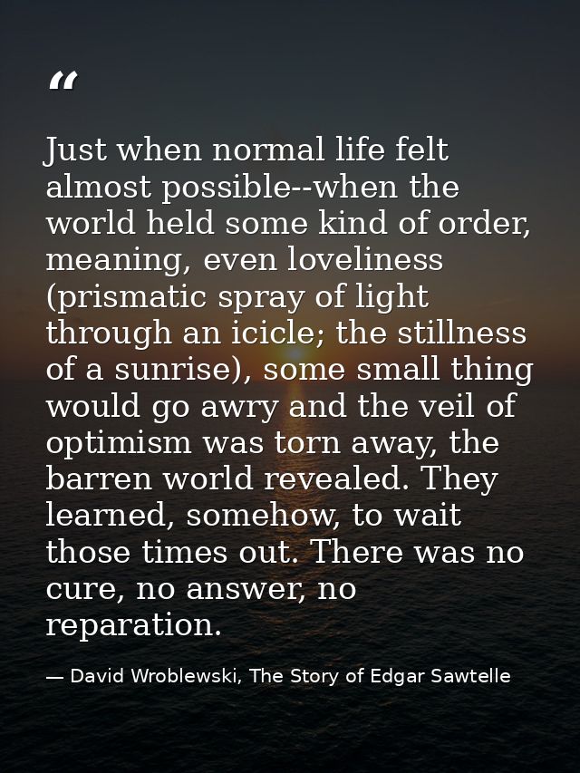 Just when normal life felt almost possible--when the world held some kind of order, meaning, even loveliness (prismatic  — David Wroblewski, The Story of Edgar Sawtelle