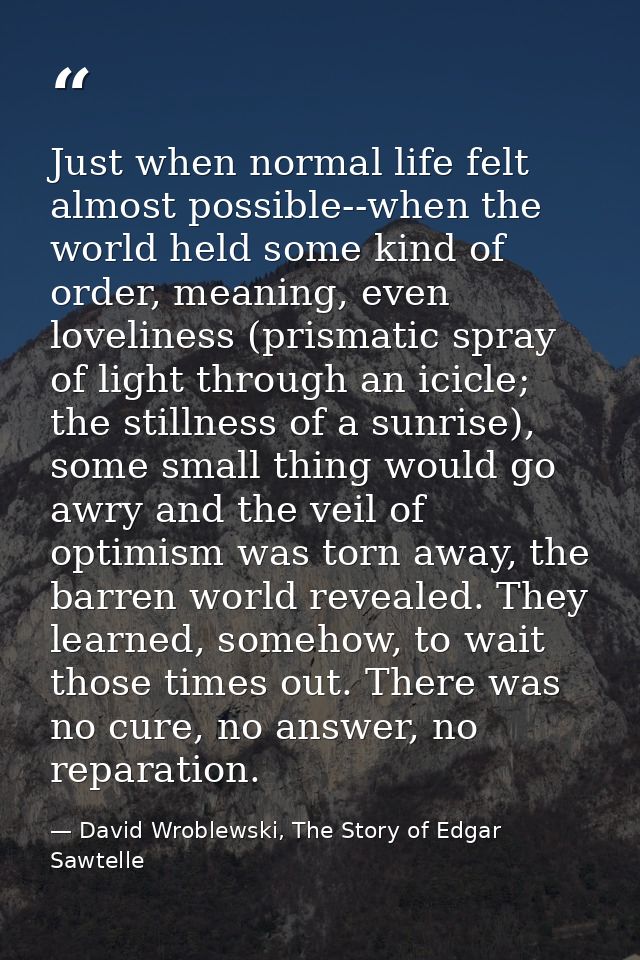 Just when normal life felt almost possible--when the world held some kind of order, meaning, even loveliness (prismatic  — David Wroblewski, The Story of Edgar Sawtelle