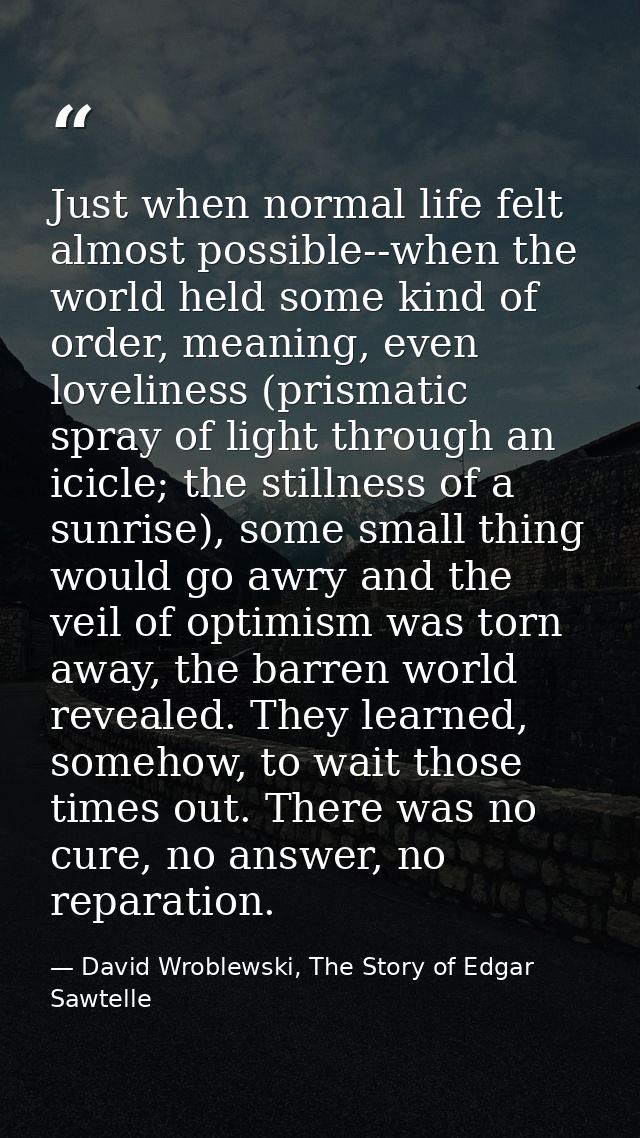 Just when normal life felt almost possible--when the world held some kind of order, meaning, even loveliness (prismatic  — David Wroblewski, The Story of Edgar Sawtelle