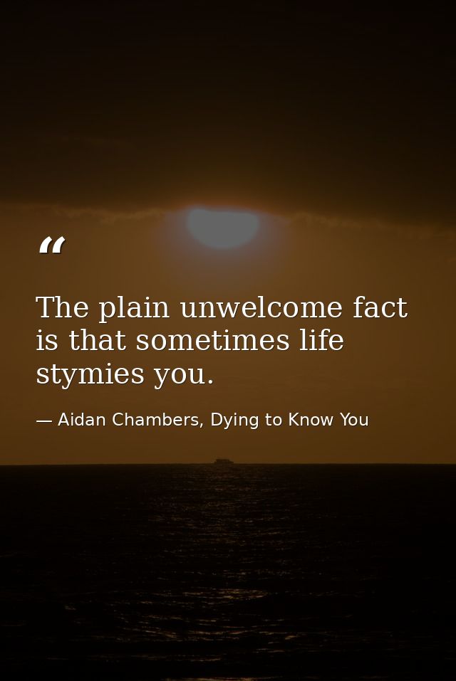 The plain unwelcome fact is that sometimes life stymies you. — Aidan Chambers, Dying to Know You