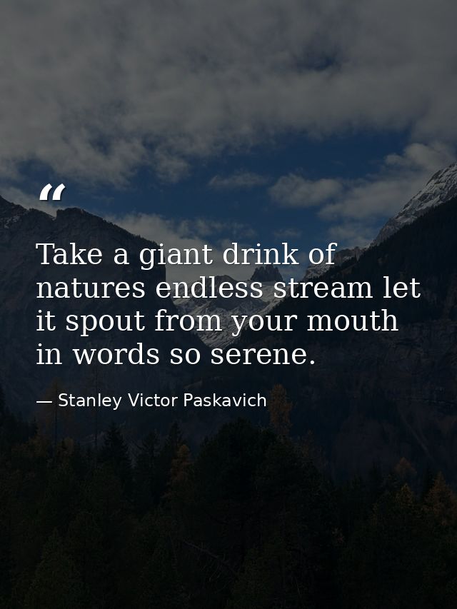 Take a giant drink of natures endless stream let it spout from your mouth in words so serene. — Stanley Victor Paskavich