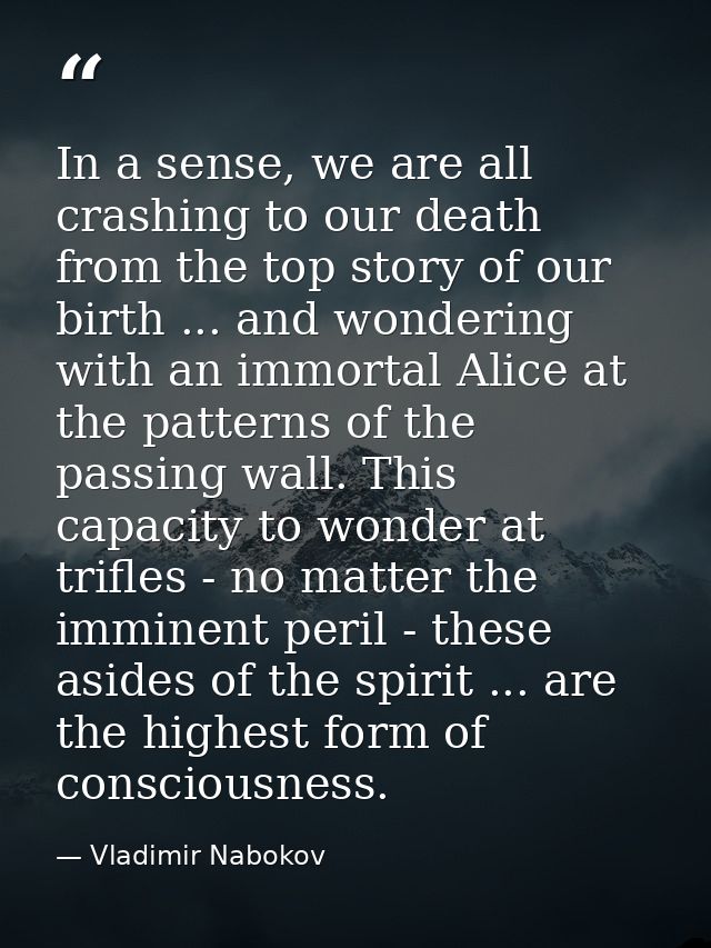 In a sense, we are all crashing to our death from the top story of our birth ... and wondering with an immortal Alice at — Vladimir Nabokov