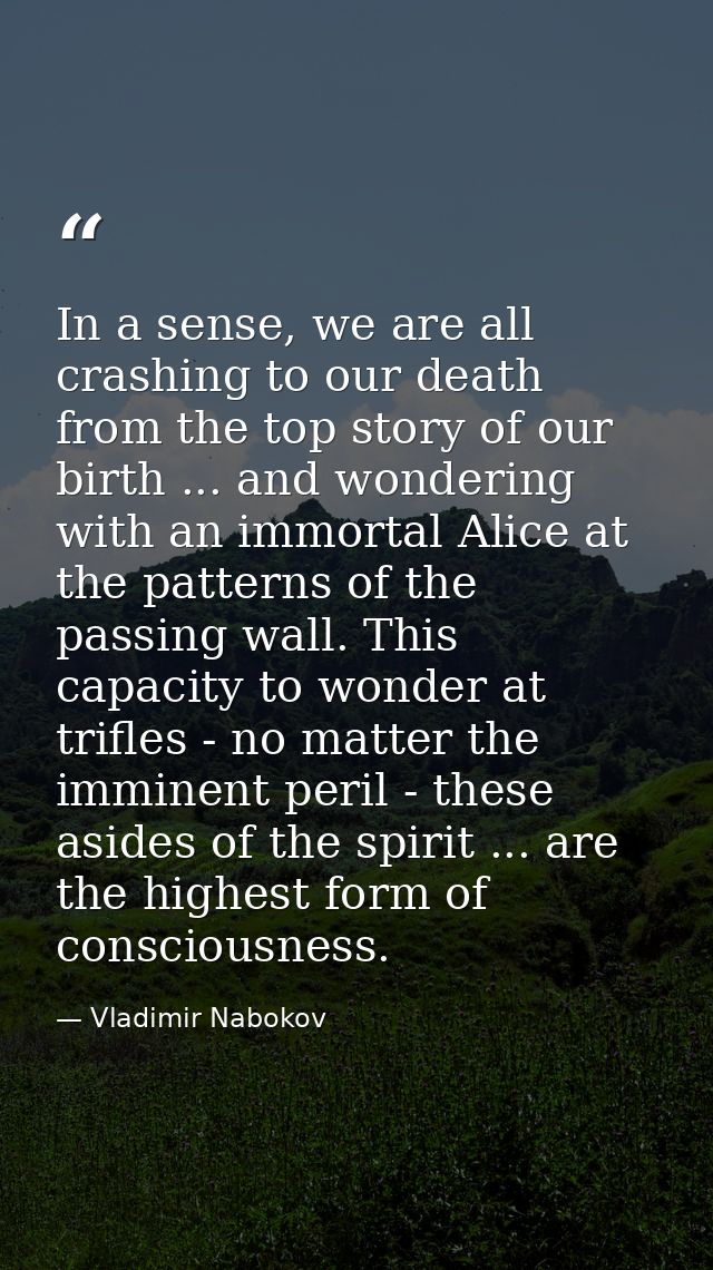 In a sense, we are all crashing to our death from the top story of our birth ... and wondering with an immortal Alice at — Vladimir Nabokov