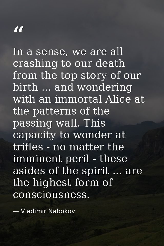 In a sense, we are all crashing to our death from the top story of our birth ... and wondering with an immortal Alice at — Vladimir Nabokov