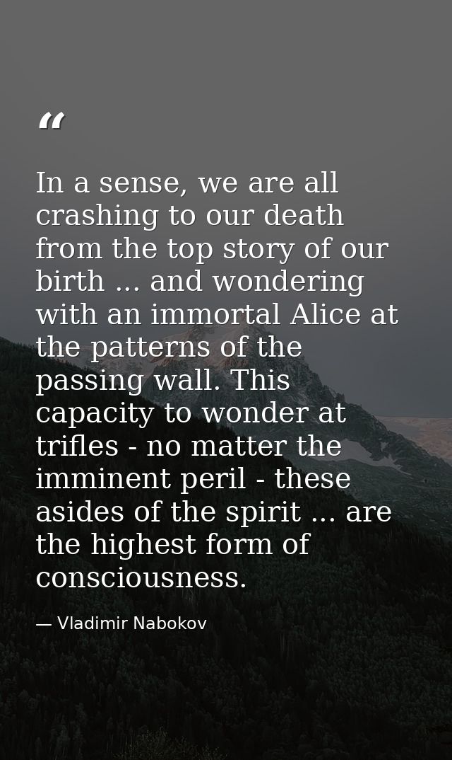In a sense, we are all crashing to our death from the top story of our birth ... and wondering with an immortal Alice at — Vladimir Nabokov