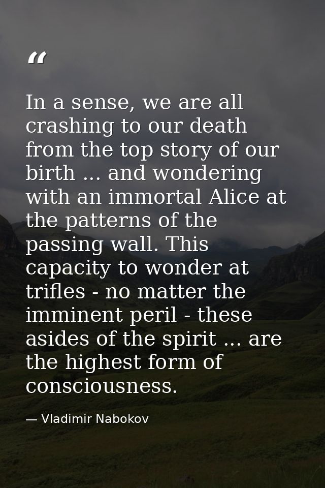 In a sense, we are all crashing to our death from the top story of our birth ... and wondering with an immortal Alice at — Vladimir Nabokov