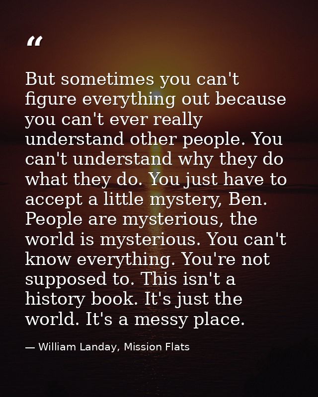 But sometimes you can't figure everything out because you can't ever really understand other people. You can't understan — William Landay, Mission Flats