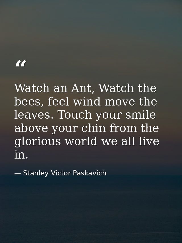Watch an Ant, Watch the bees, feel wind move the leaves. Touch your smile above your chin from the glorious world we all — Stanley Victor Paskavich
