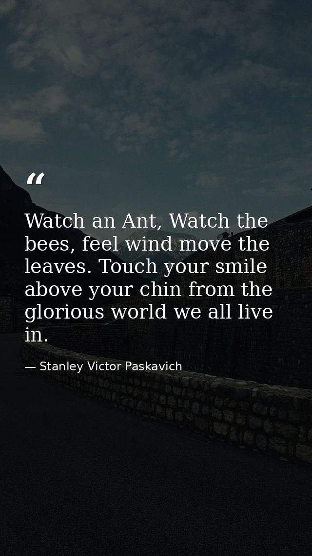 Watch an Ant, Watch the bees, feel wind move the leaves. Touch your smile above your chin from the glorious world we all — Stanley Victor Paskavich
