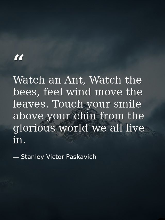 Watch an Ant, Watch the bees, feel wind move the leaves. Touch your smile above your chin from the glorious world we all — Stanley Victor Paskavich