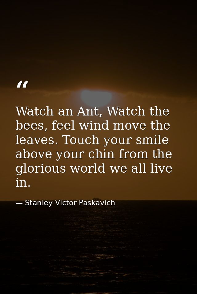 Watch an Ant, Watch the bees, feel wind move the leaves. Touch your smile above your chin from the glorious world we all — Stanley Victor Paskavich