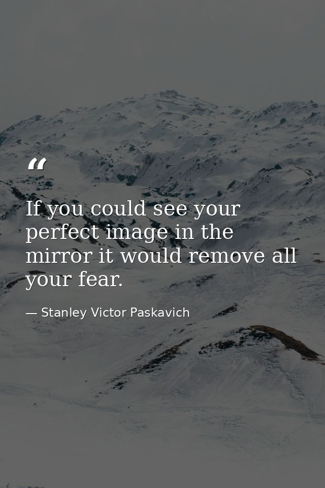 If you could see your perfect image in the mirror it would remove all your fear. — Stanley Victor Paskavich