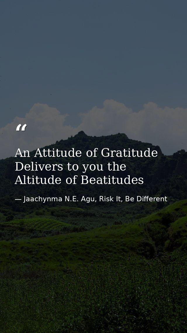 An Attitude of Gratitude Delivers to you the Altitude of Beatitudes — Jaachynma N.E. Agu, Risk It, Be Different