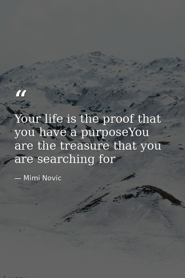 Your life is the proof that you have a purposeYou are the treasure that you are searching for — Mimi Novic