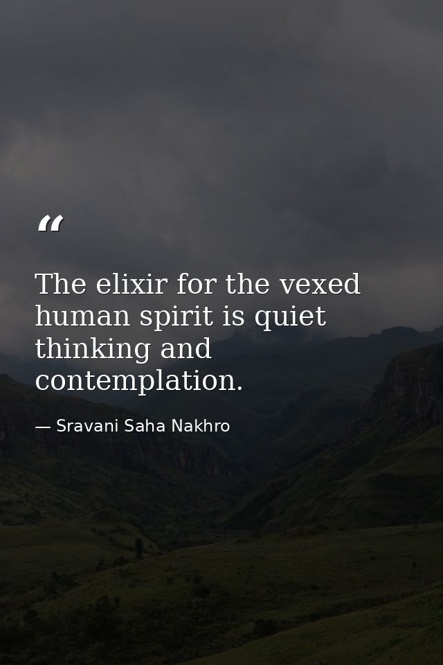 The elixir for the vexed human spirit is quiet thinking and contemplation. — Sravani Saha Nakhro