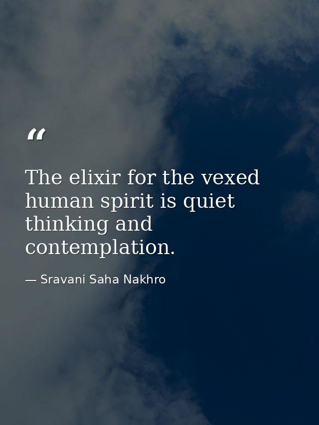 The elixir for the vexed human spirit is quiet thinking and contemplation. — Sravani Saha Nakhro