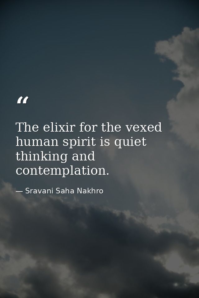 The elixir for the vexed human spirit is quiet thinking and contemplation. — Sravani Saha Nakhro