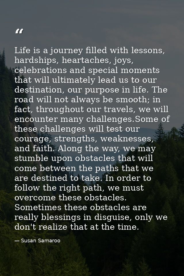 Life is a journey filled with lessons, hardships, heartaches, joys, celebrations and special moments that will ultimatel — Susan Samaroo