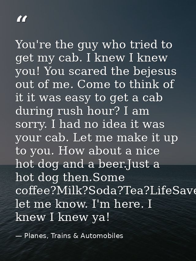 You're the guy who tried to get my cab. I knew I knew you! You scared the bejesus out of me. Come to think of it it was  — Planes, Trains & Automobiles