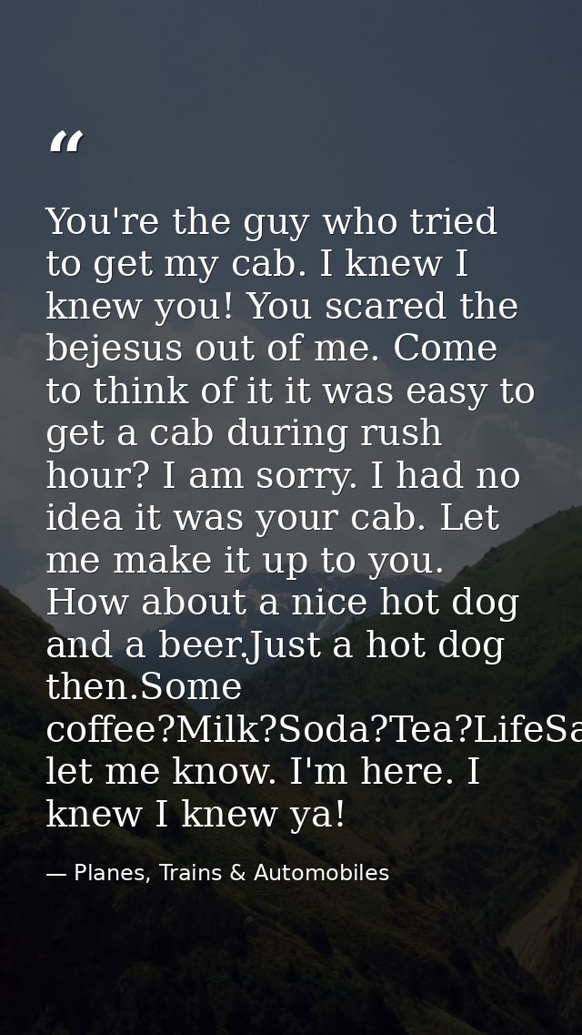 You're the guy who tried to get my cab. I knew I knew you! You scared the bejesus out of me. Come to think of it it was  — Planes, Trains & Automobiles