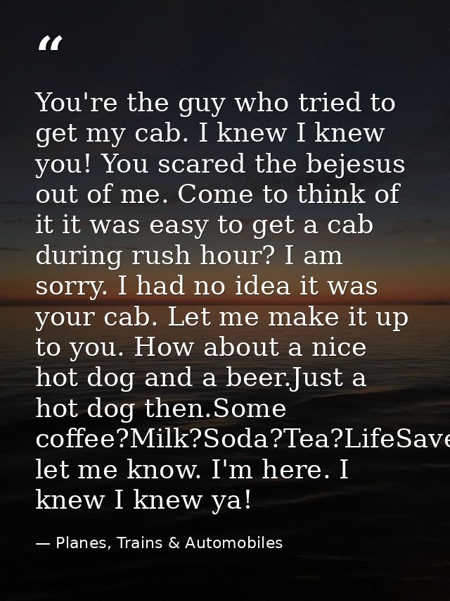 You're the guy who tried to get my cab. I knew I knew you! You scared the bejesus out of me. Come to think of it it was  — Planes, Trains & Automobiles