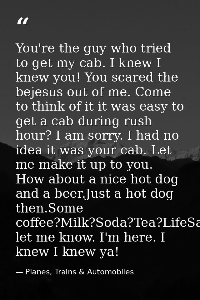 You're the guy who tried to get my cab. I knew I knew you! You scared the bejesus out of me. Come to think of it it was  — Planes, Trains & Automobiles
