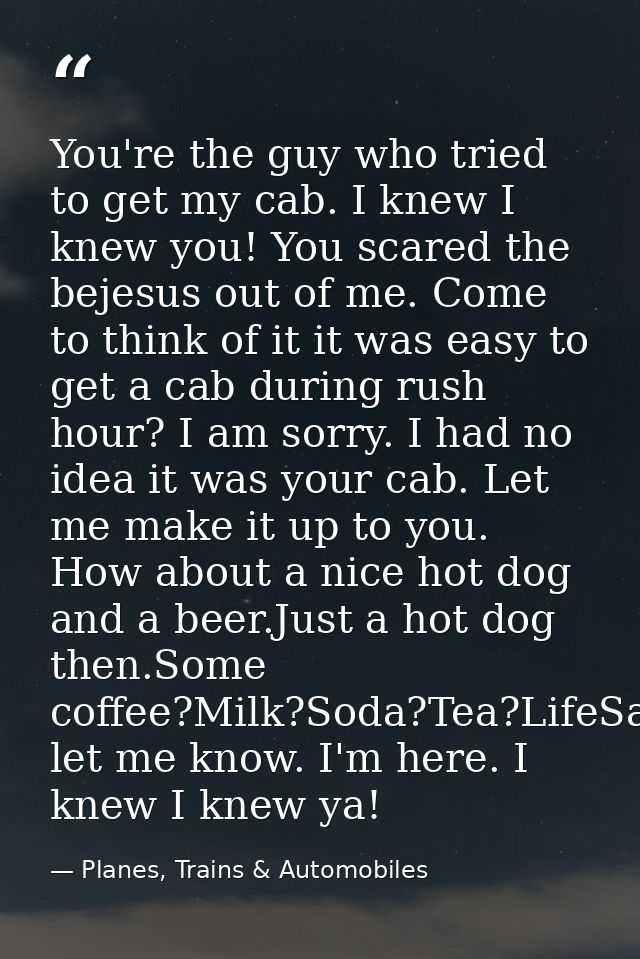 You're the guy who tried to get my cab. I knew I knew you! You scared the bejesus out of me. Come to think of it it was  — Planes, Trains & Automobiles
