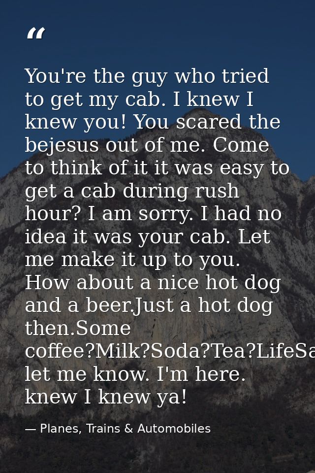 You're the guy who tried to get my cab. I knew I knew you! You scared the bejesus out of me. Come to think of it it was  — Planes, Trains & Automobiles